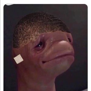 Meet your Posher, Anthony